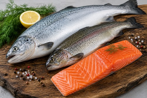 lachs-forelle